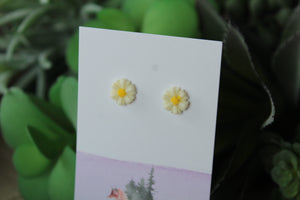 Cream Daisy Earrings