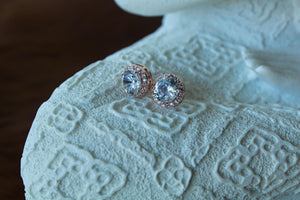 Lux Round Rose Gold/Silver Earrings